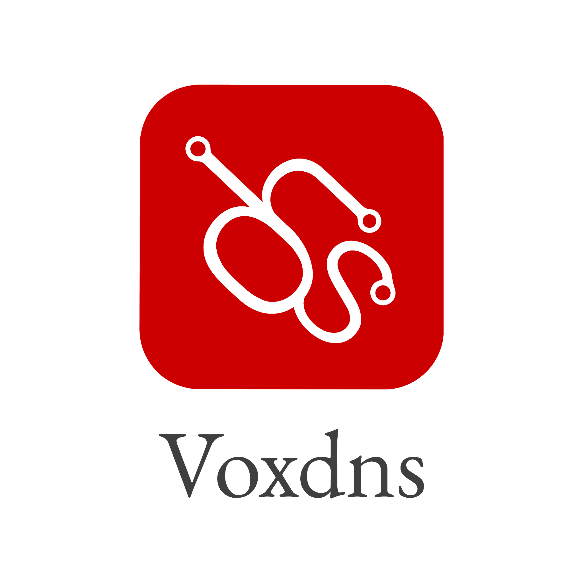 VoxDNS